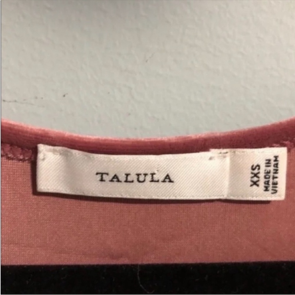 Aritzia Talula Lambeth Velvet Dress - Picture 3 of 6
